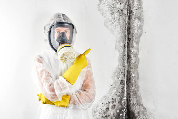 Tyrone, GA Mold Removal & Remediation Company